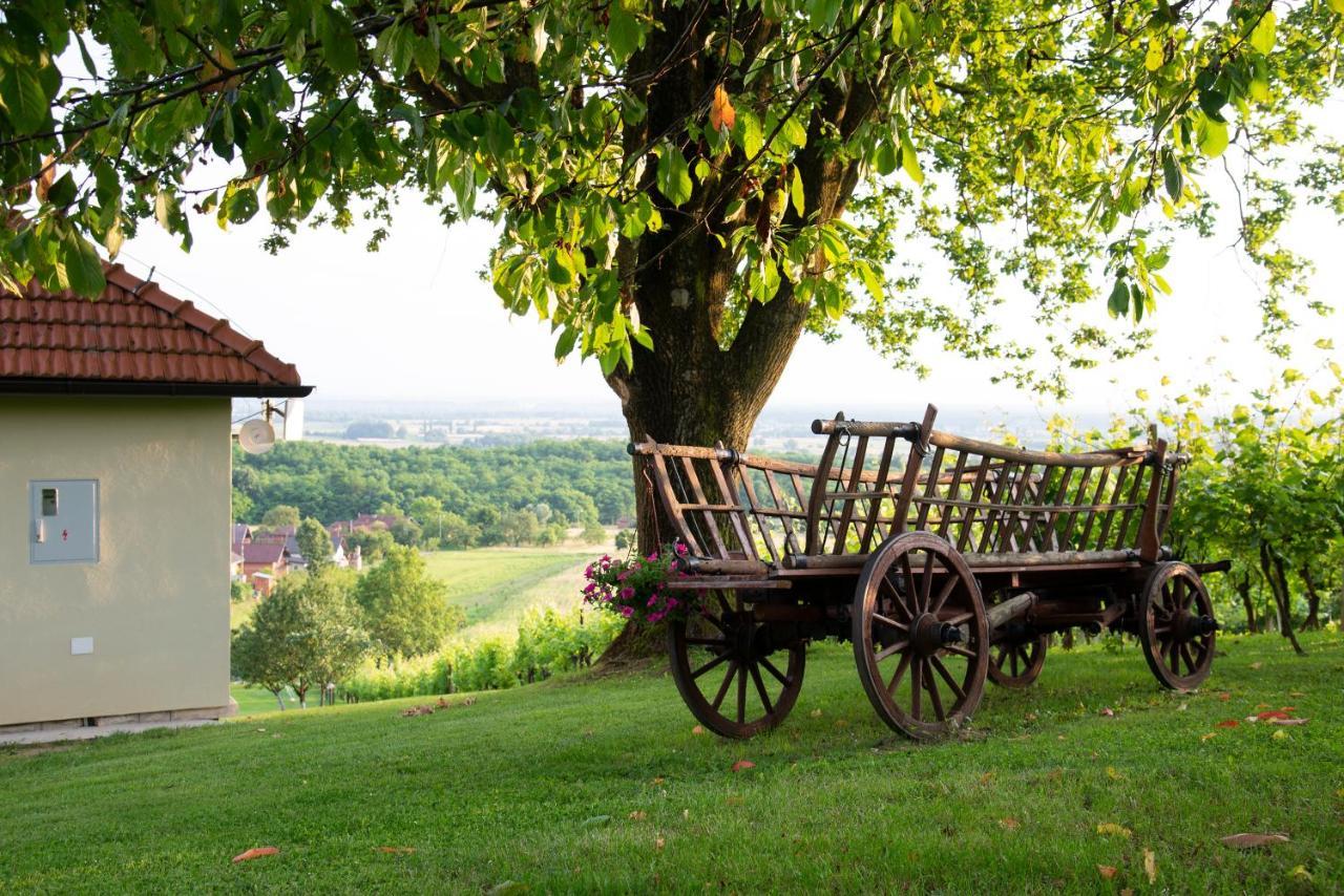Guest House Blazevic Gornja Gracenica Екстериор снимка