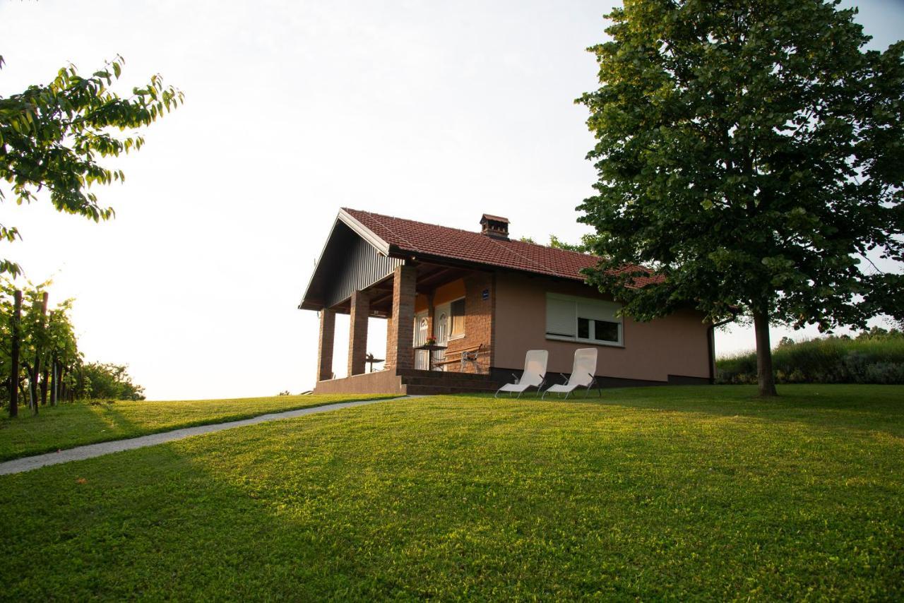 Guest House Blazevic Gornja Gracenica Екстериор снимка