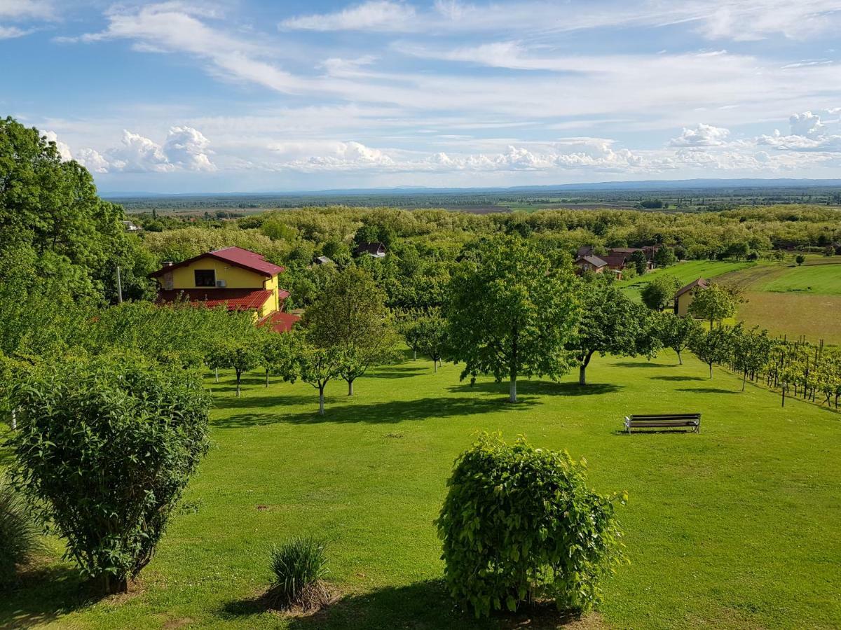 Guest House Blazevic Gornja Gracenica Екстериор снимка